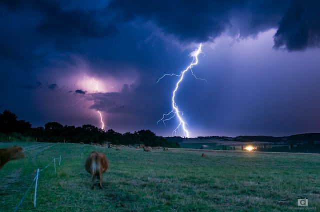 Orage